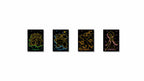 Collect 151 Hope Departure Collection Sleeve Box [CN] image 2