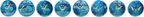 Terastal Gathering CSV9.5C Pin Badge Box [CN]